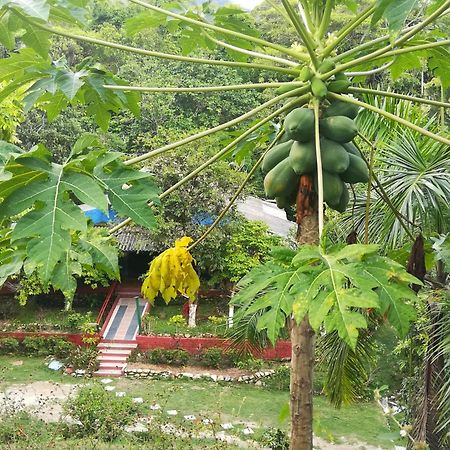Entre Bosques Tayrona Villa Los Naranjos Rom bilde