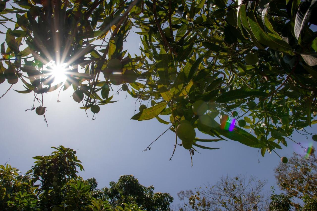 Entre Bosques Tayrona Villa Los Naranjos Eksteriør bilde