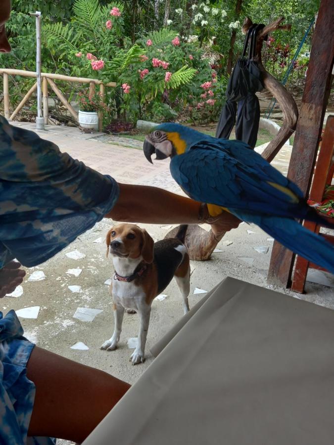 Entre Bosques Tayrona Villa Los Naranjos Eksteriør bilde