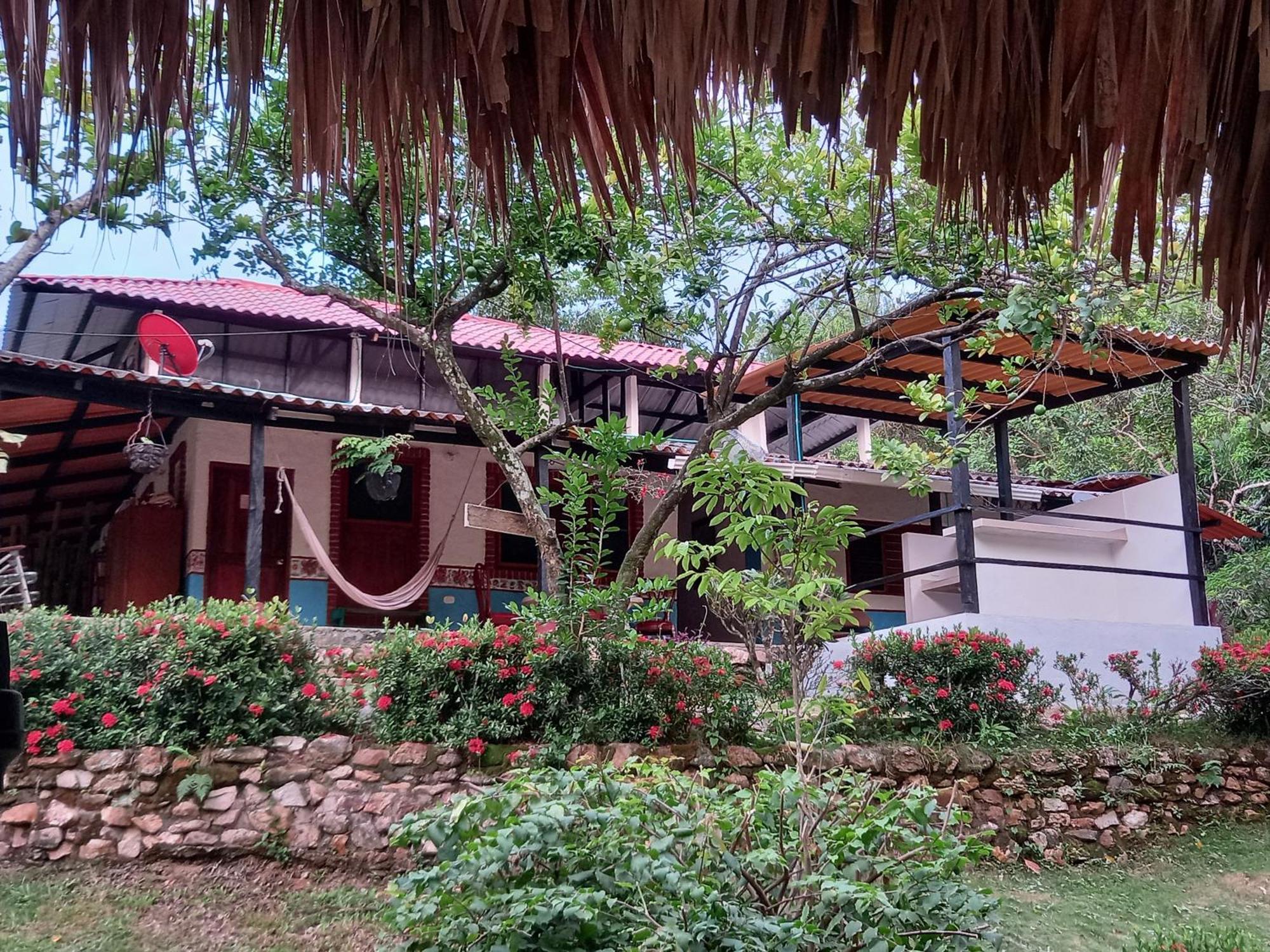 Entre Bosques Tayrona Villa Los Naranjos Rom bilde