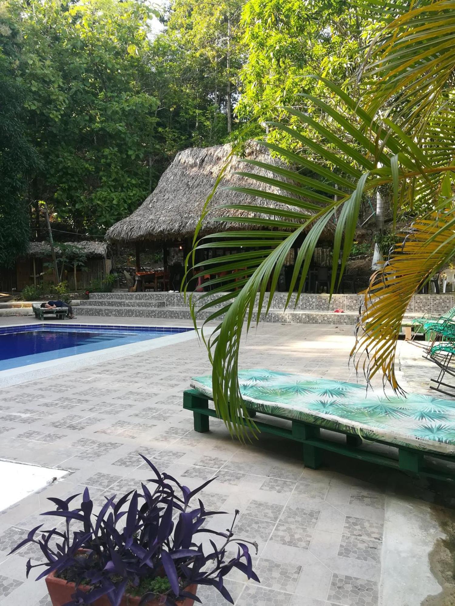 Entre Bosques Tayrona Villa Los Naranjos Rom bilde