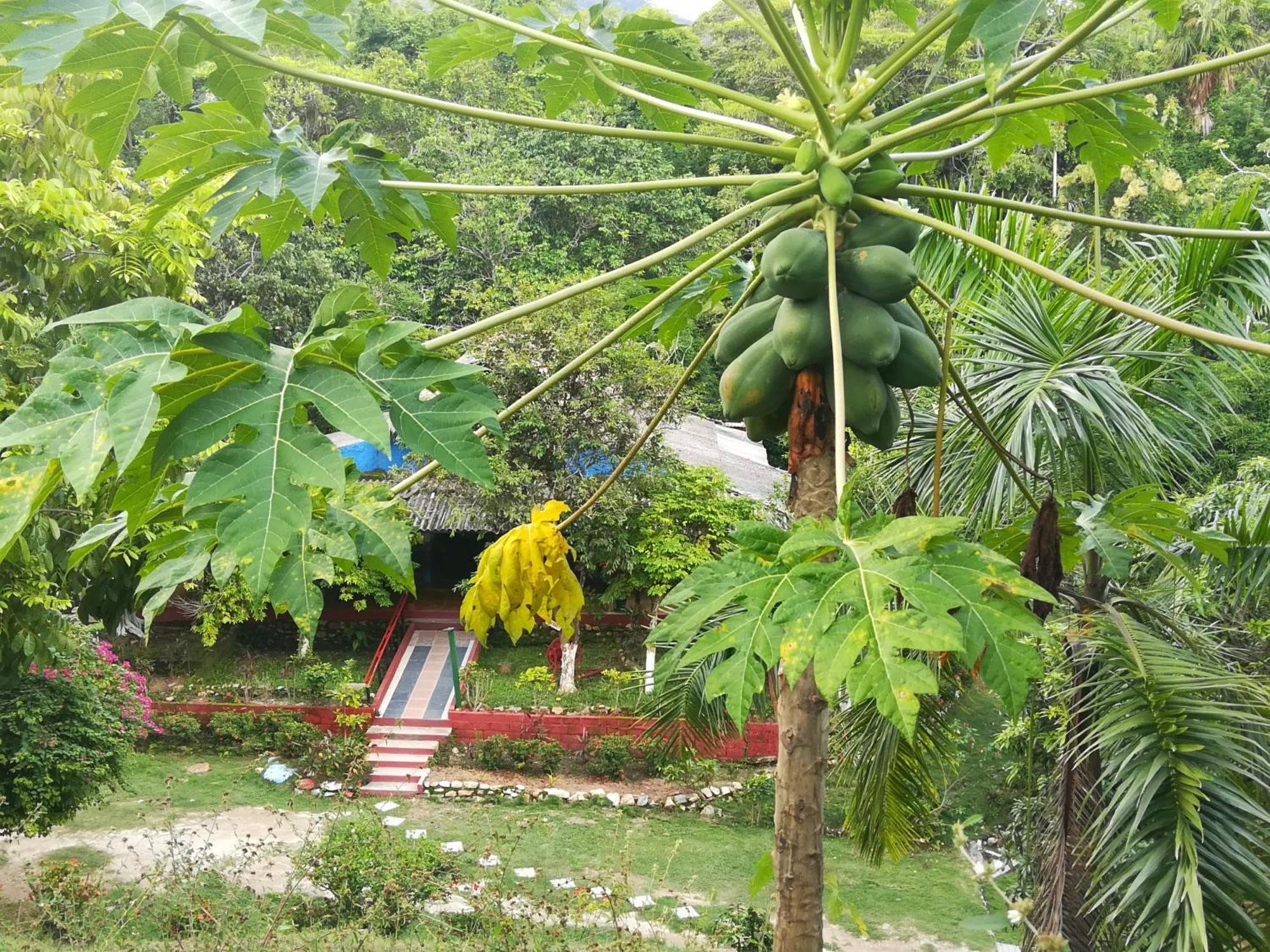 Entre Bosques Tayrona Villa Los Naranjos Rom bilde
