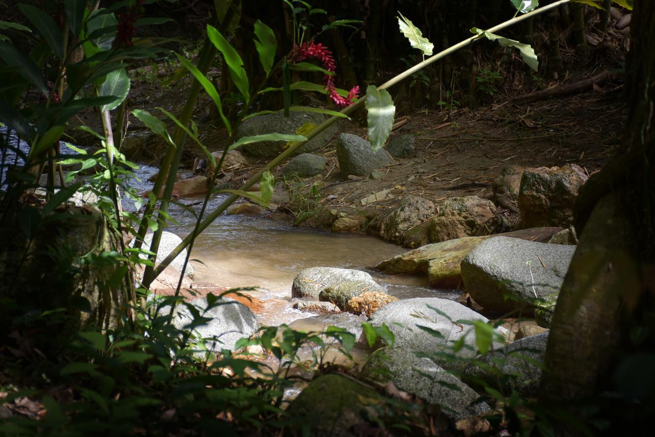 Entre Bosques Tayrona Villa Los Naranjos Eksteriør bilde