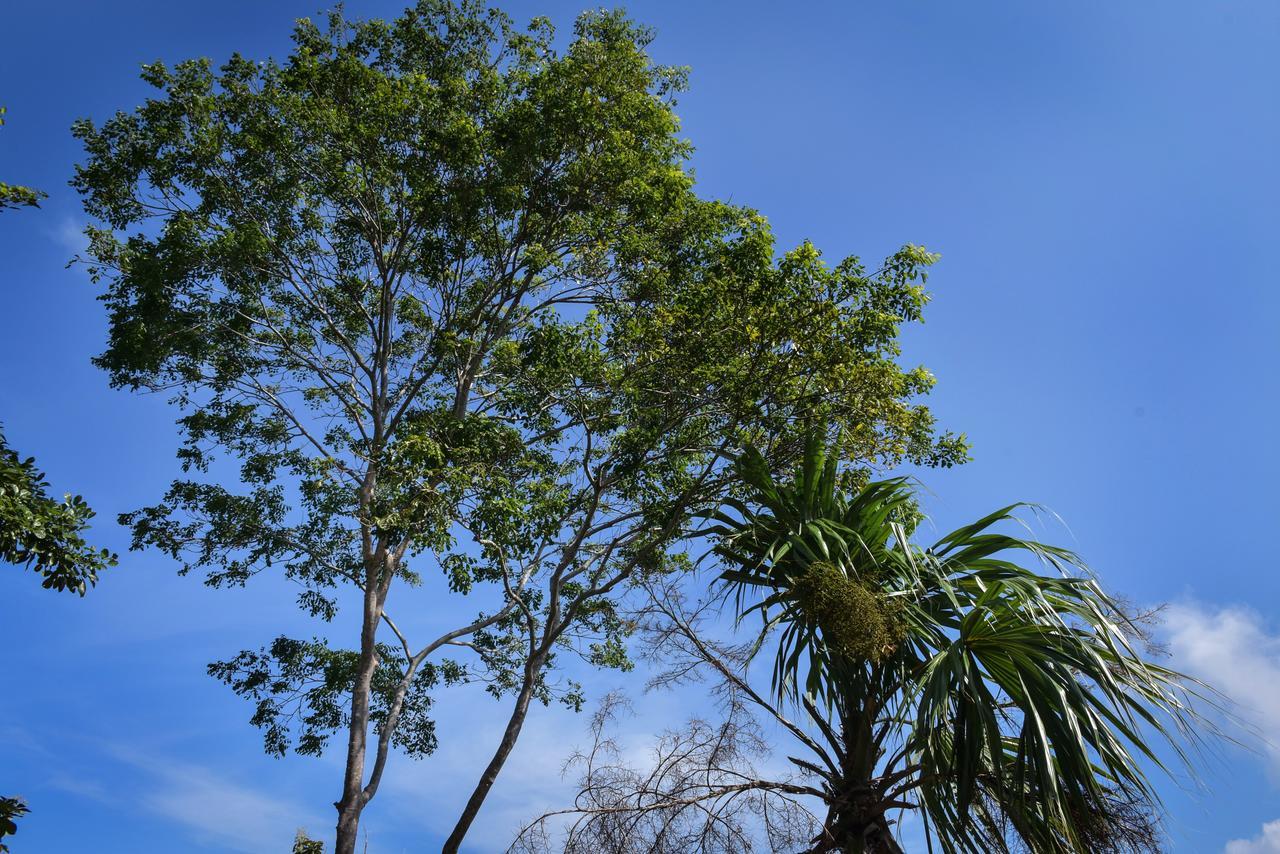 Entre Bosques Tayrona Villa Los Naranjos Eksteriør bilde